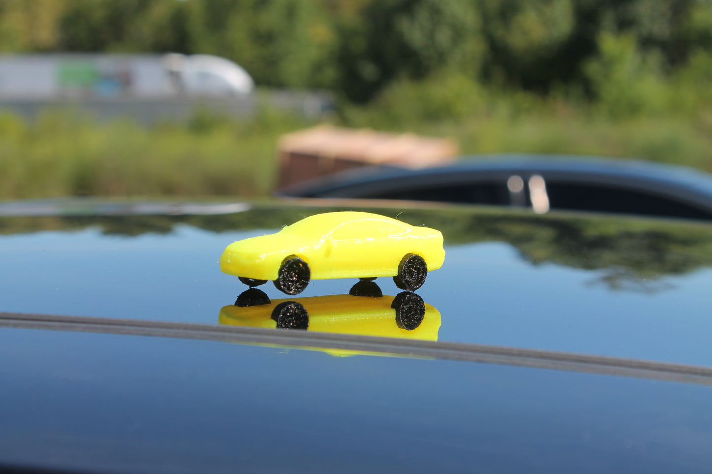 1:64 GTO Model