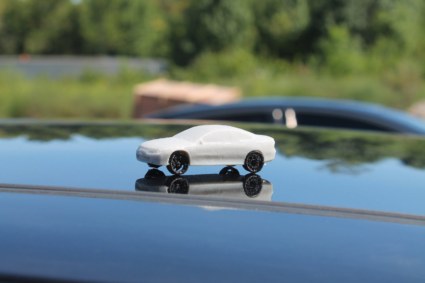 1:64 GTO Model